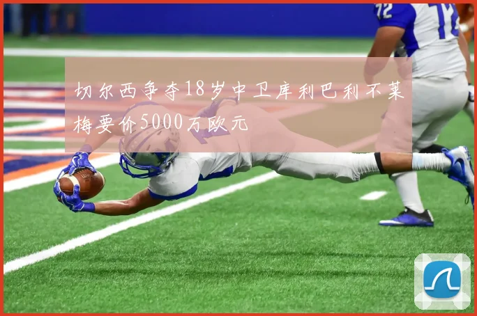 切尔西争夺18岁中卫库利巴利不莱梅要价5000万欧元