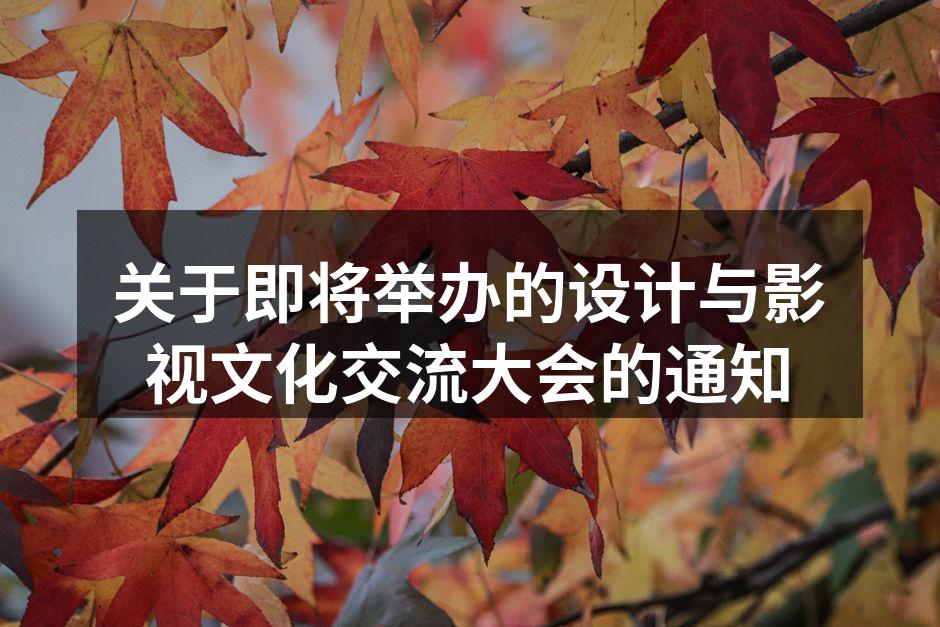 行业专家交流会现场